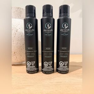 Paul Mitchell Awapuhi Wild Ginger Dry Shampoo Foam Repair New